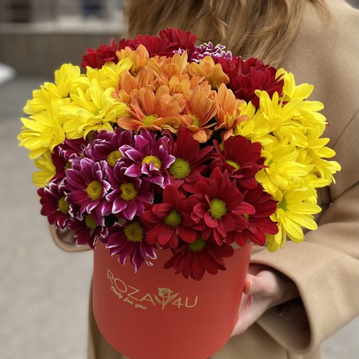 7 ярких кустовых хризантем микс в коробке