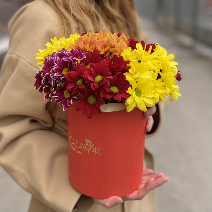 7 ярких кустовых хризантем микс в коробке