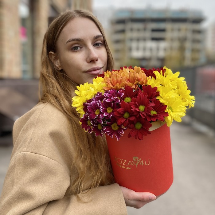 7 ярких кустовых хризантем микс в коробке