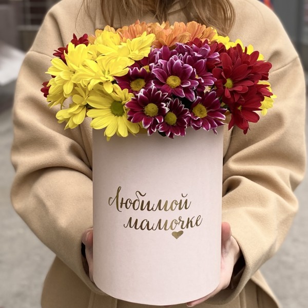 7 ярких кустовых хризантем микс в коробке Любимой Мамочке