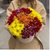 7 ярких кустовых хризантем микс в коробке Любимой Мамочке