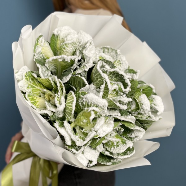 7 заснеженных брассики