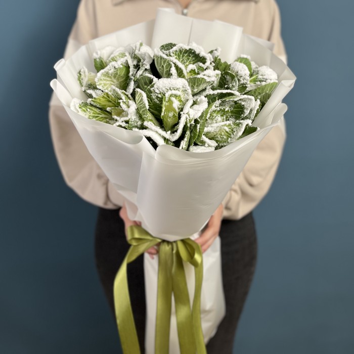 7 заснеженных брассики