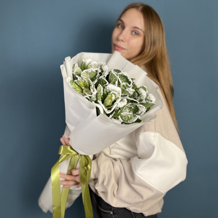 7 заснеженных брассики