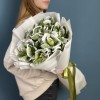 7 заснеженных брассики