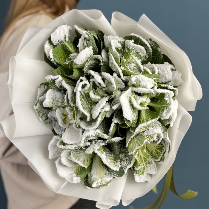 7 заснеженных брассики