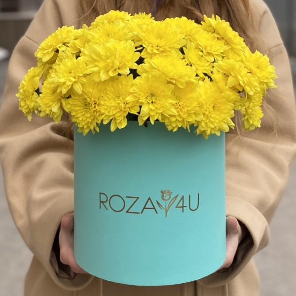 7 желтых кустовых хризантем Балтика в коробке