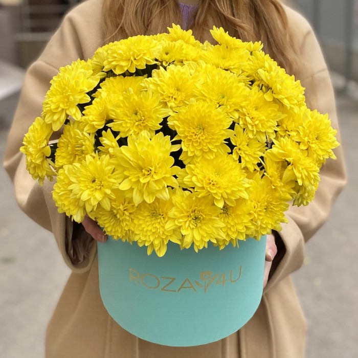 7 желтых кустовых хризантем Балтика в коробке