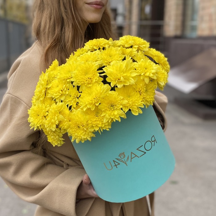 7 желтых кустовых хризантем Балтика в коробке