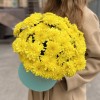 7 желтых кустовых хризантем Балтика в коробке