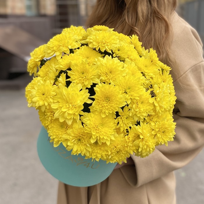 7 желтых кустовых хризантем Балтика в коробке