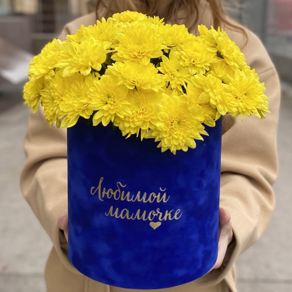 7 желтых кустовых хризантем Балтика в коробке Любимой Мамочке