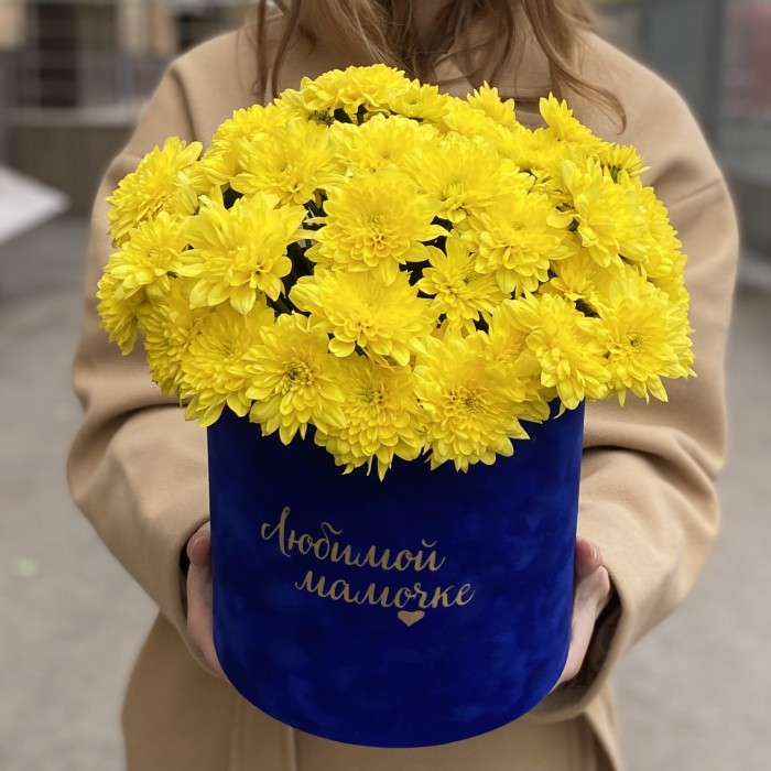 7 желтых кустовых хризантем Балтика в коробке Любимой Мамочке