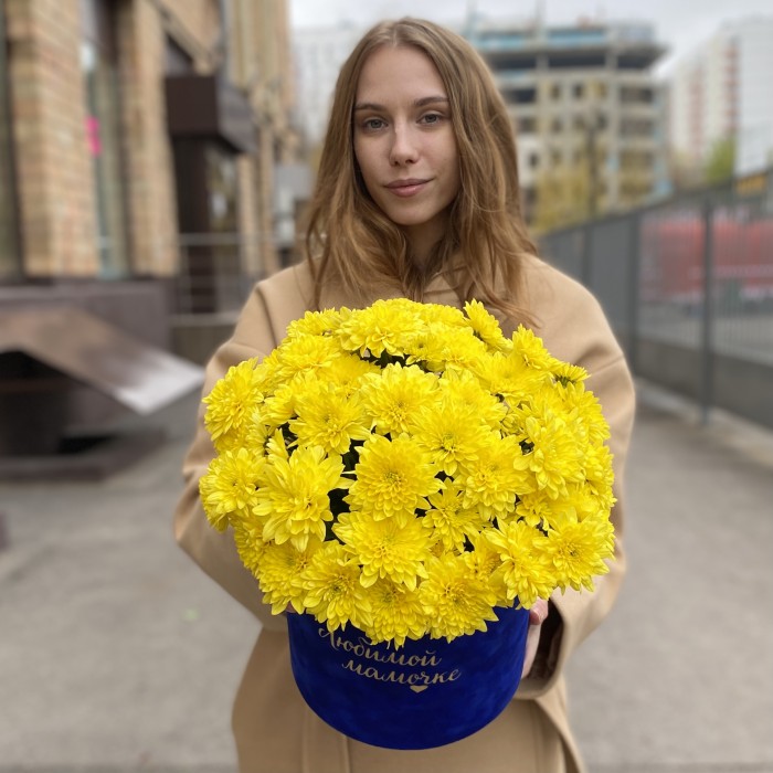 7 желтых кустовых хризантем Балтика в коробке Любимой Мамочке