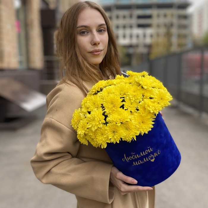 7 желтых кустовых хризантем Балтика в коробке Любимой Мамочке