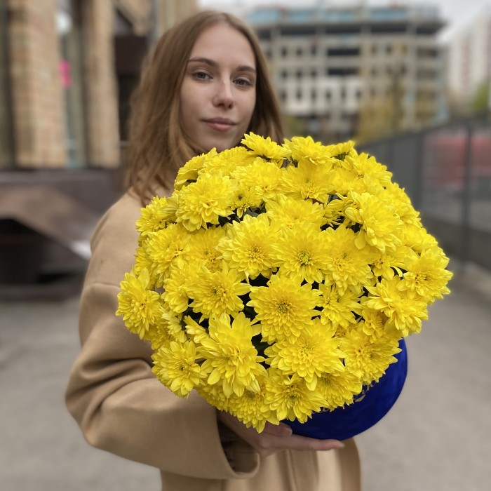 7 желтых кустовых хризантем Балтика в коробке Любимой Мамочке