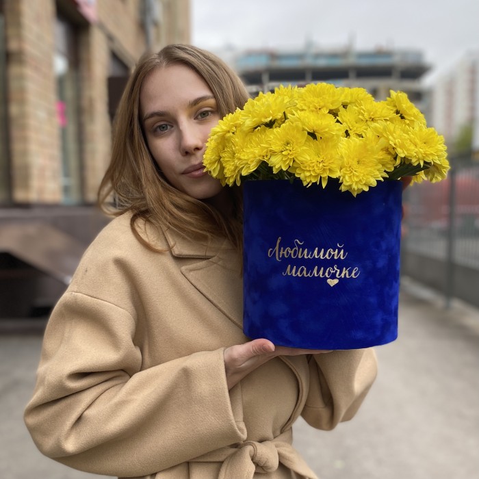 7 желтых кустовых хризантем Балтика в коробке Любимой Мамочке