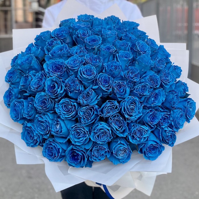 75 голубых роз Бэби Блю