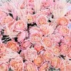 75 кустовых пионовидных роз Джульетта с ковылем в коробке
