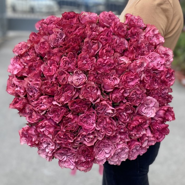 75 пионовидных роз Кантри блюз