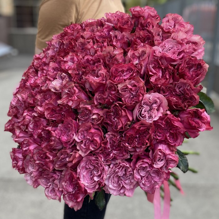 75 пионовидных роз Кантри блюз