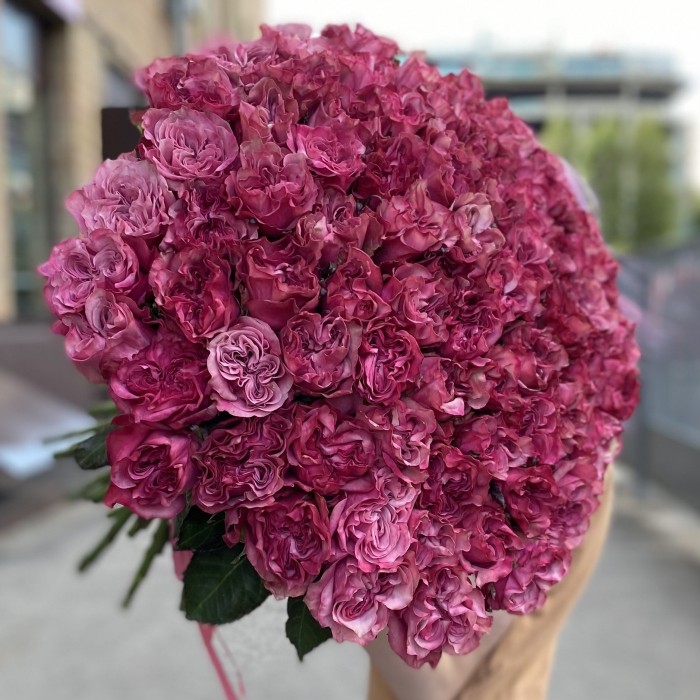 75 пионовидных роз Кантри блюз 50 см