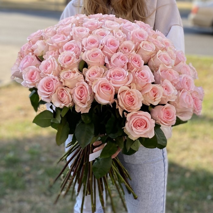 75 розовых роз Новия