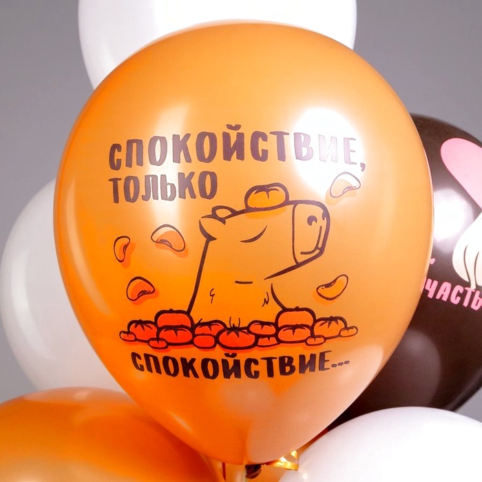 Облако воздушных шаров С днем рождения Капибары