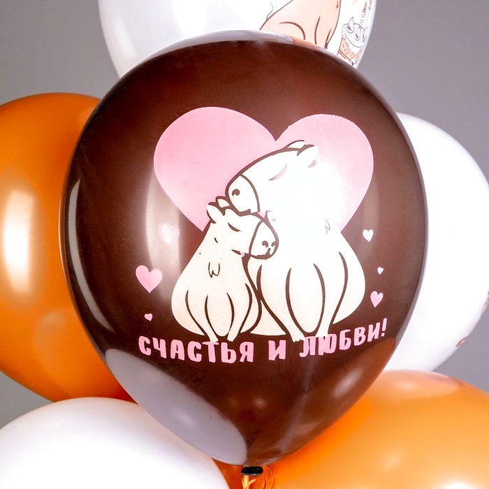 Облако воздушных шаров С днем рождения Капибары