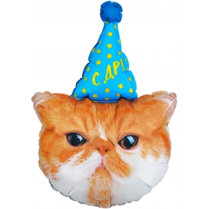 Шар фигура Котик рыжий в колпачке