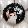 Шар круг С ДР (котик)