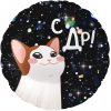 Шар круг С ДР (котик)