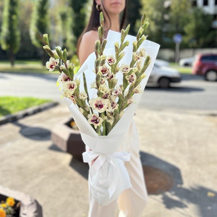 7 бело-фиолетовых гладиолусов