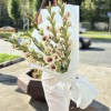 7 бело-фиолетовых гладиолусов