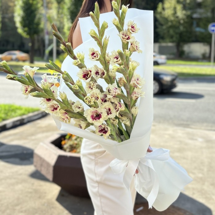7 бело-фиолетовых гладиолусов