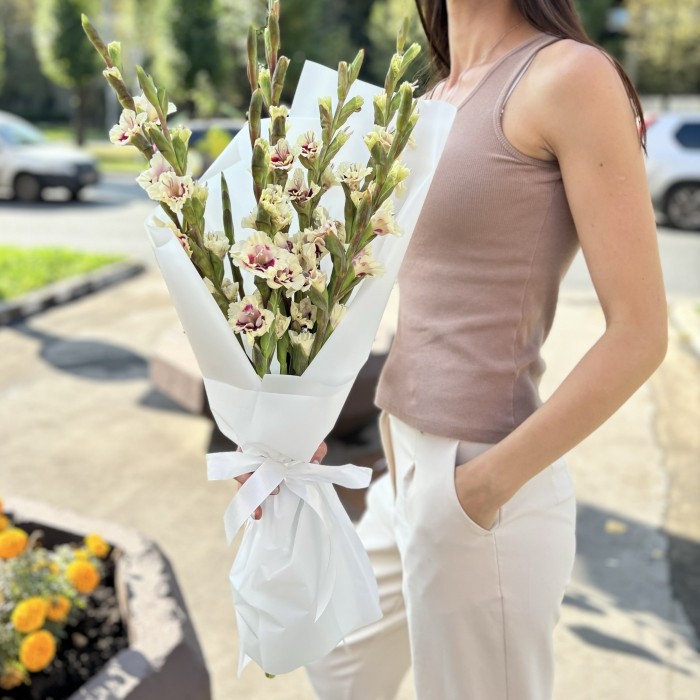 7 бело-фиолетовых гладиолусов