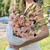 7 бело-розовых гладиолусов