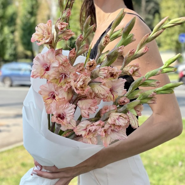 7 бело-розовых гладиолусов