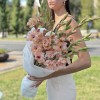 7 бело-розовых гладиолусов