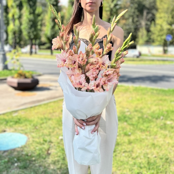 7 бело-розовых гладиолусов