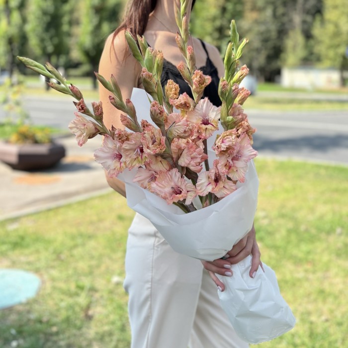 7 бело-розовых гладиолусов
