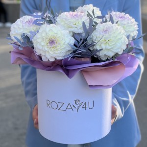 7 бело-сиреневых георгин в коробке
