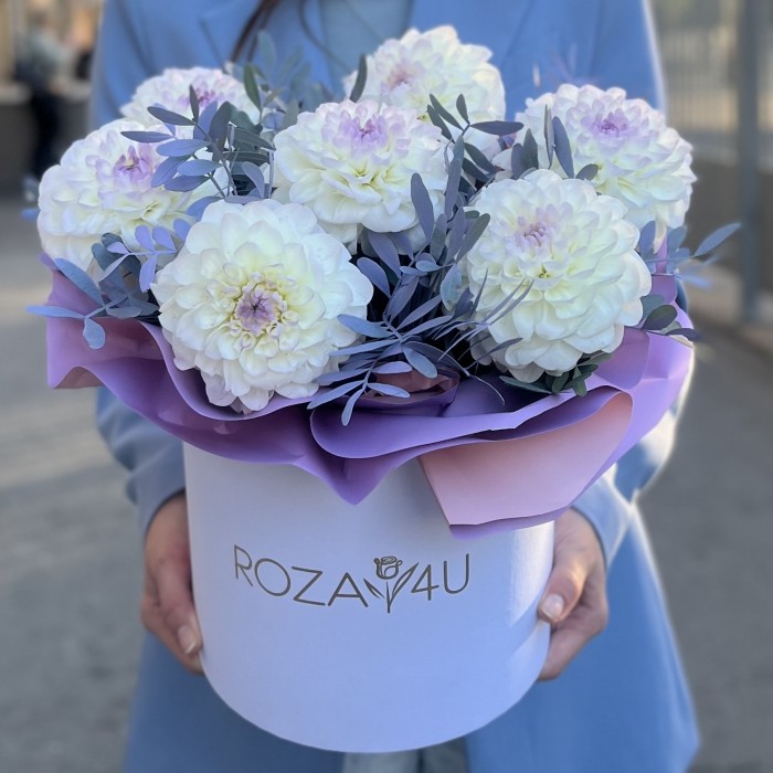 7 бело-сиреневых георгин в коробке