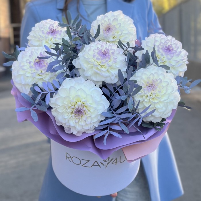 7 бело-сиреневых георгин в коробке