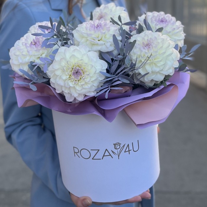 7 бело-сиреневых георгин в коробке