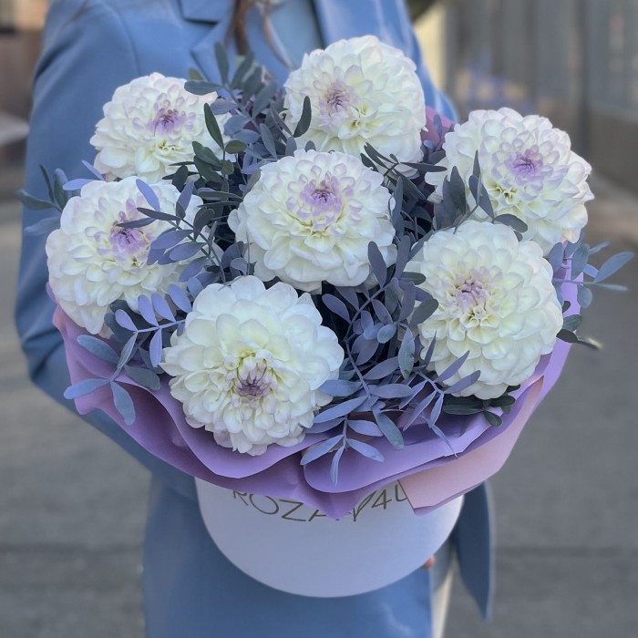 7 бело-сиреневых георгин в коробке