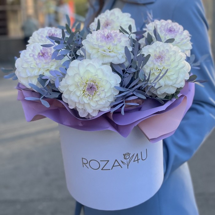 7 бело-сиреневых георгин в коробке