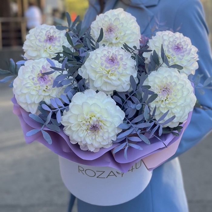 7 бело-сиреневых георгин в коробке