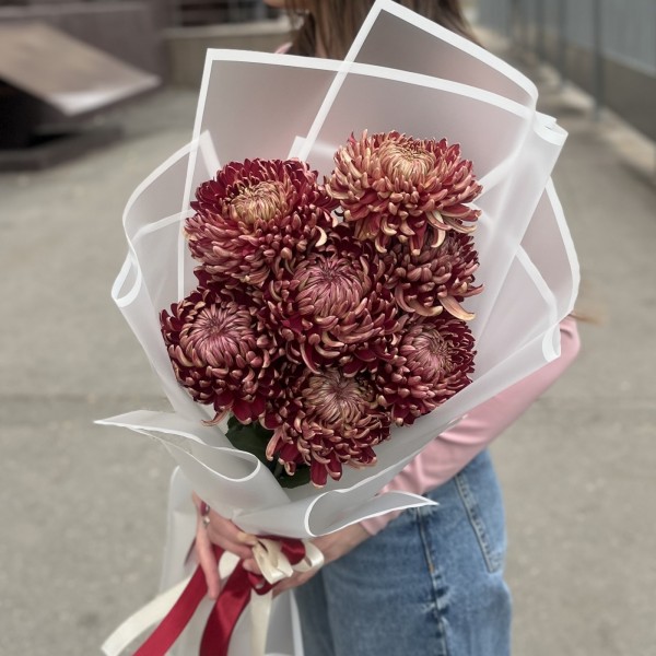 7 бордовых хризантем