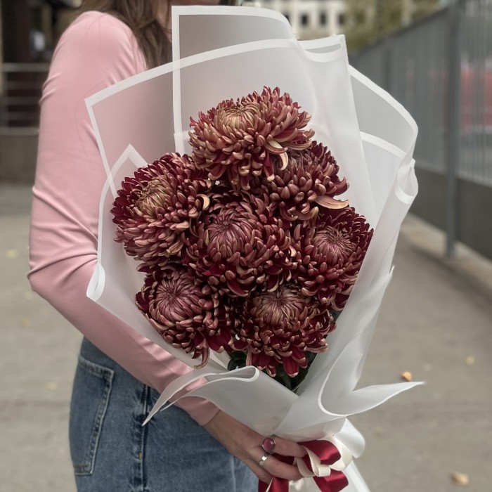 7 бордовых хризантем